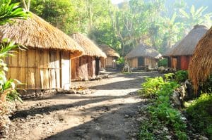 Rumah Adat Papua - Honai