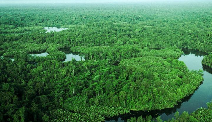 Keanekaragaman Hayati Taman Nasional Lorentz