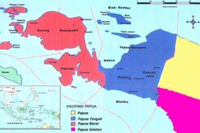 Provinsi Baru Papua Tengah. Sumber : Google