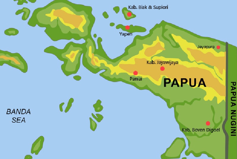 Fauna Endemik di Pulau Papua
