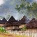 Lirik Lagu Daerah Papua