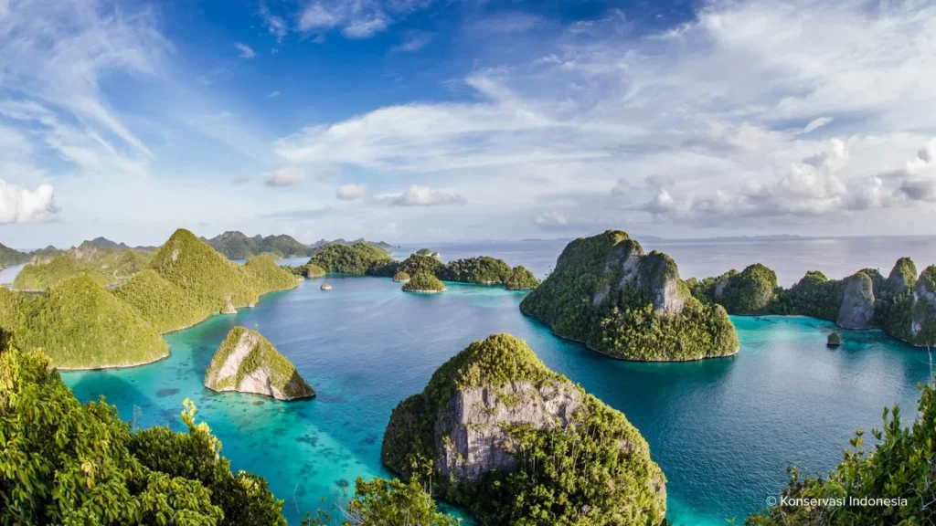 Papua: Sejarah Singkat Tanah Surga di Ujung Timur Nusantara